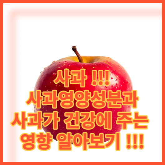  꿀사과 !!! 사과영양성분 알아보기 !!! 청송사과 한입 하실래요 ?