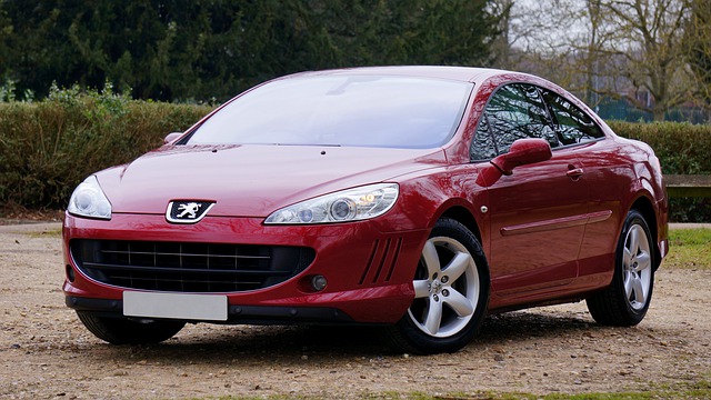 제조사별 특징 – 운전의 재미를 보장하는 프랑스 차 푸조 Peugeot