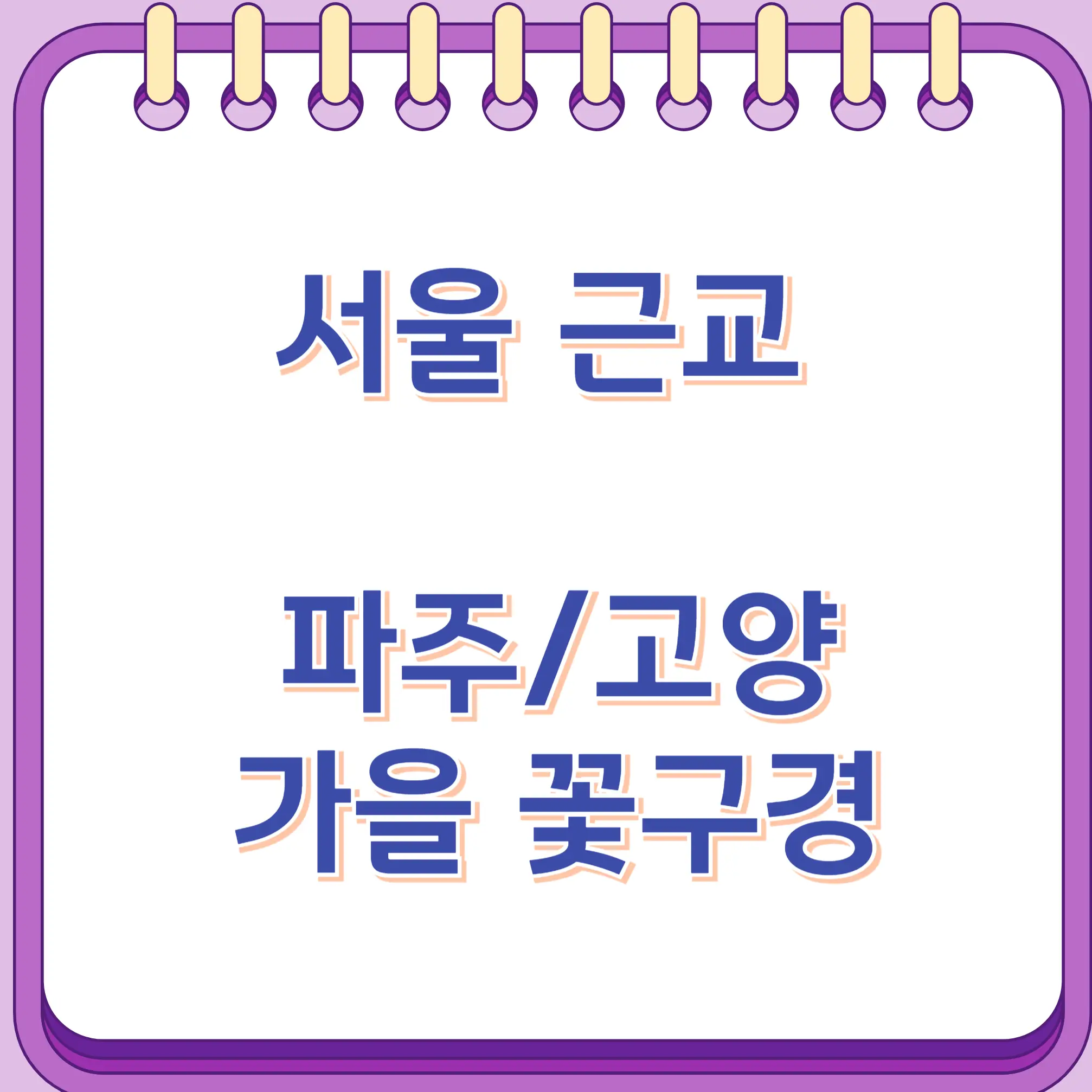 서울근교 파주 고양 가을 꽃구경