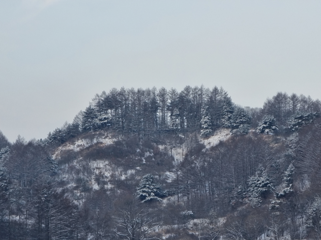 주차장에서 바라본 태백산