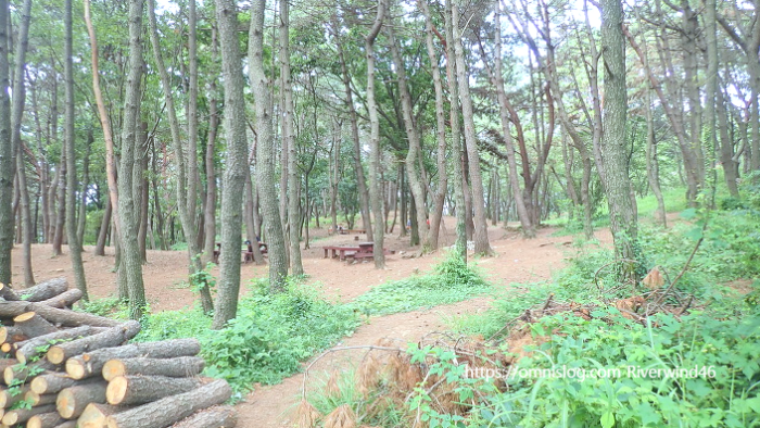 백양산입구