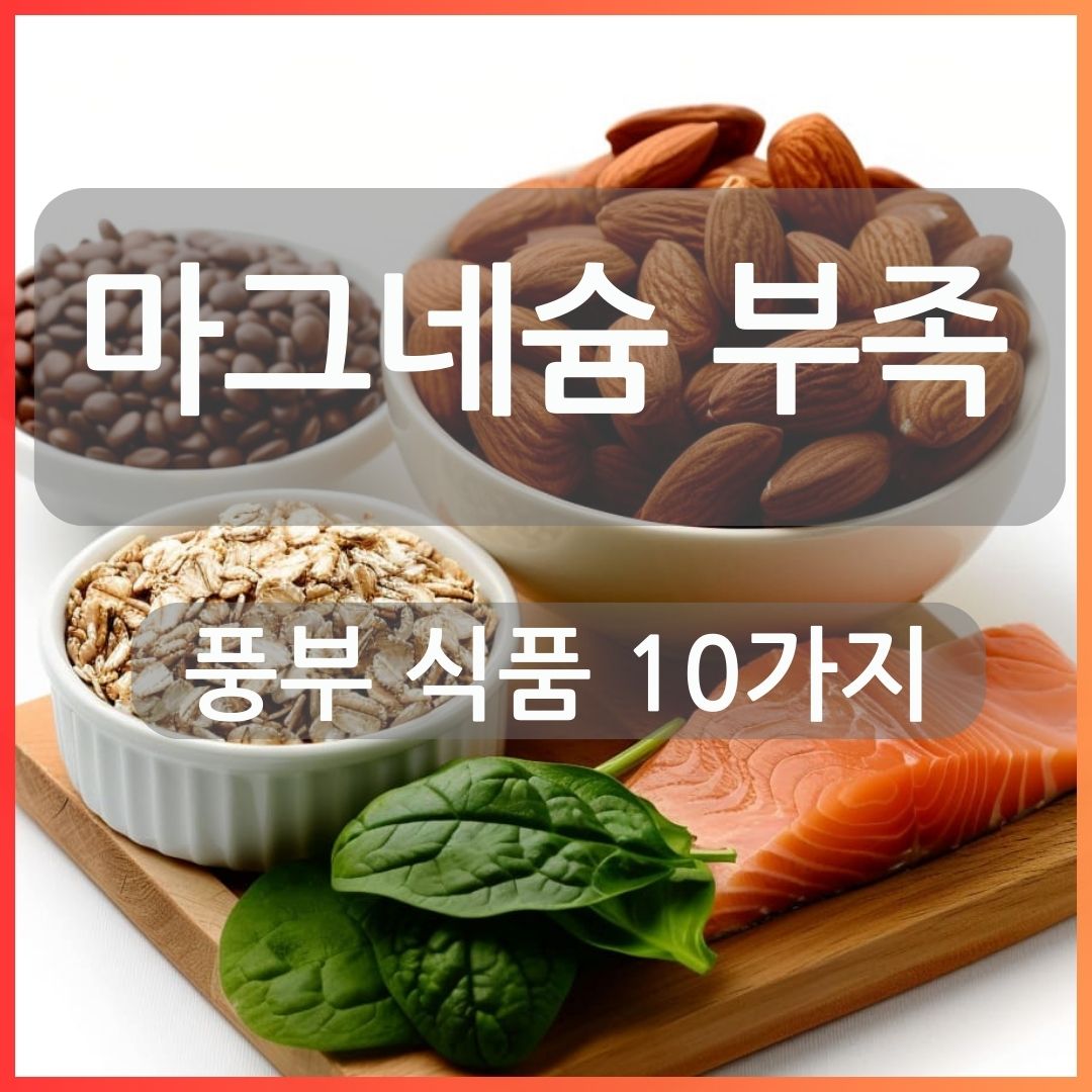 마그네슘 부족 풍부한 식품