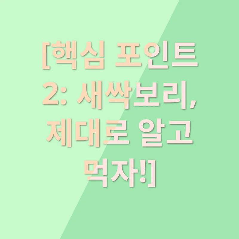 새싹보리 효능_2