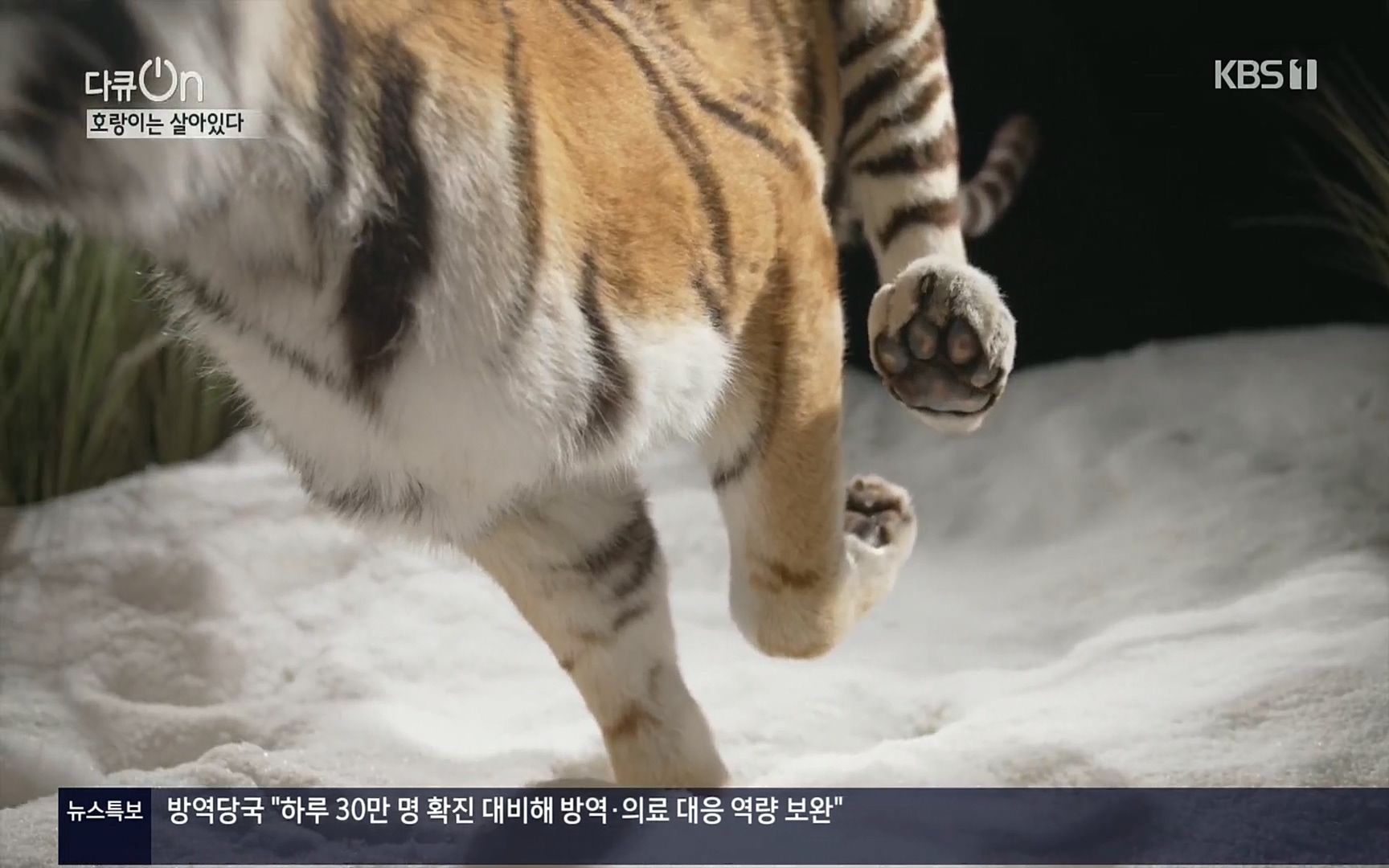 다큐 On.E150.220729p.H264-F1RST.mp4_20220730_164037.920.jpg
