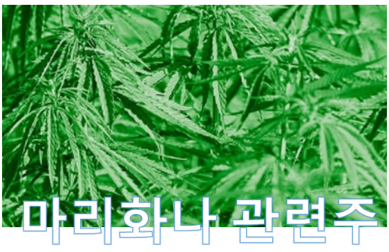  [주식 이슈] 마리화나 관련주