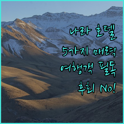 나라 여행객 필독! 피아차 호텔 나라
