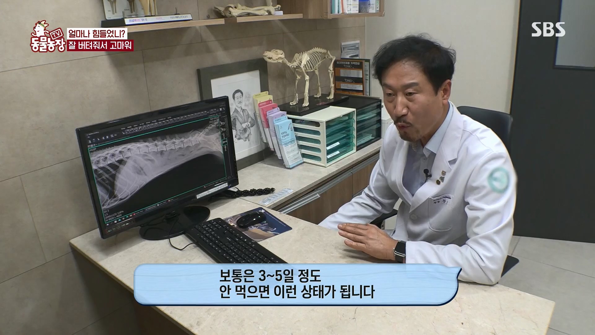 TV 동물농장.E1119.230507p.H264-F1RST.mp4_20230507_135914.425.jpg