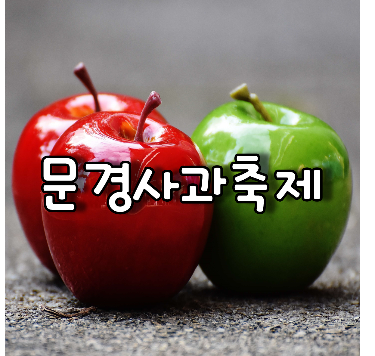 문경사과축제