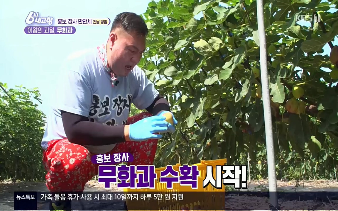 6시 내고향.E7602.220824p.H264-F1RST.mp4_20220825_171315.204.jpg