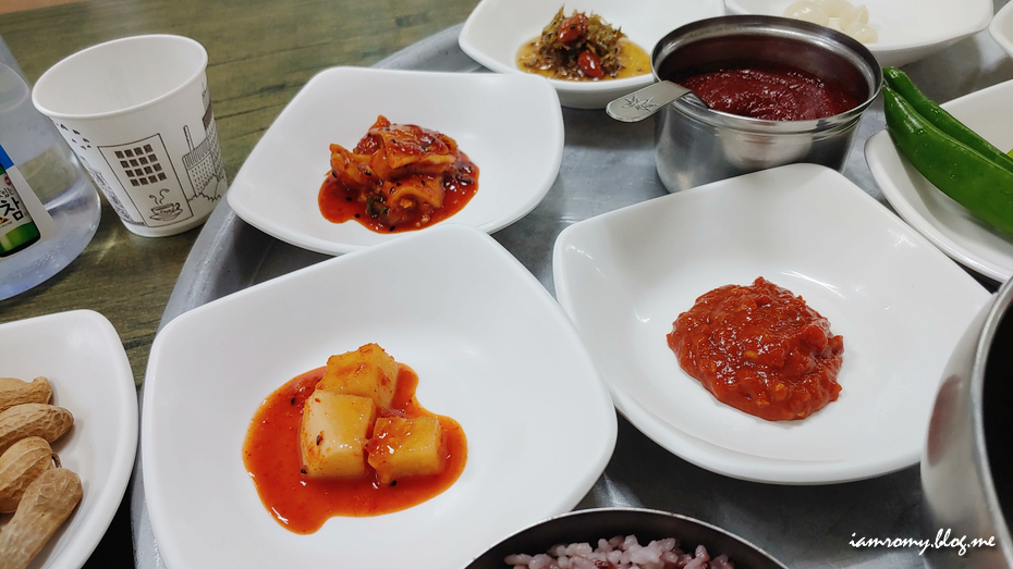 물 없는 허영만 백반기행 물회 포항 죽도시장 맛집, 이동국 소울푸드 2