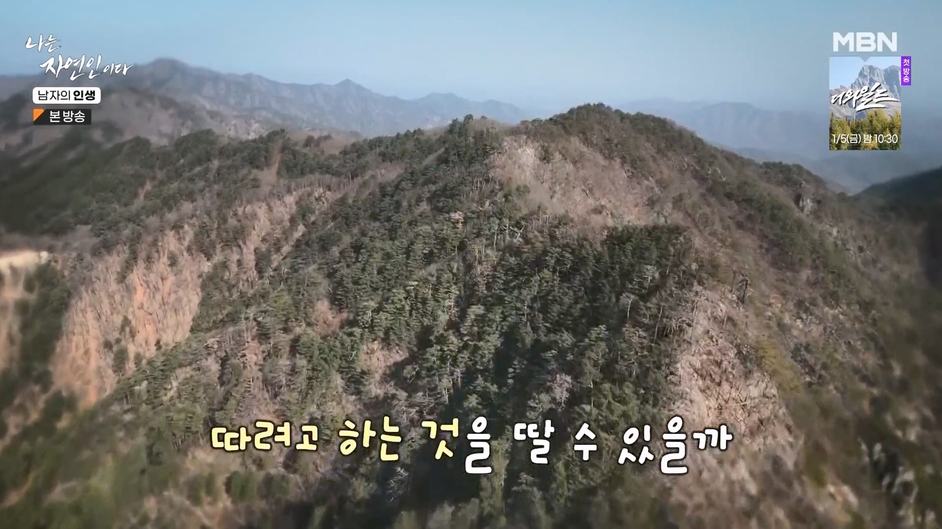 나는 자연인이다.E586.231227p-NEXT.mp4_20231229_201752.803.jpg