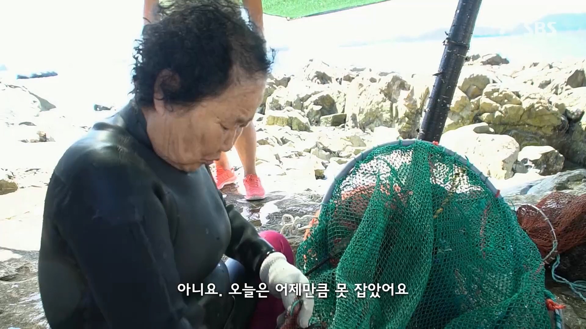 일요 특선 다큐멘터리.E292.221016p.H264-F1RST.mp4_20221018_183601.616.jpg