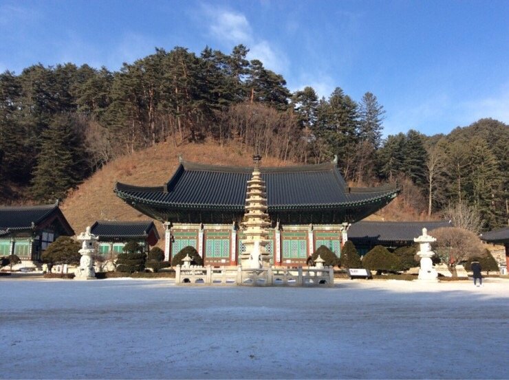  평창 월정사 팔각 구층석탑, 석조보살좌상&먹거리