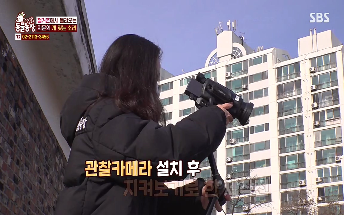 TV 동물농장.E1065.220418p-NEXT.mp4_20220417_181306.494.jpg