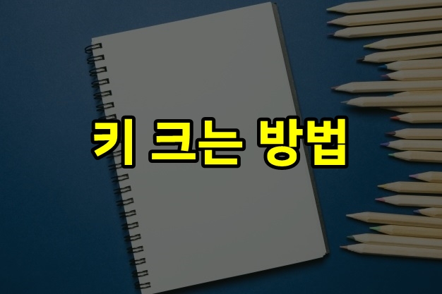  키 크는 방법