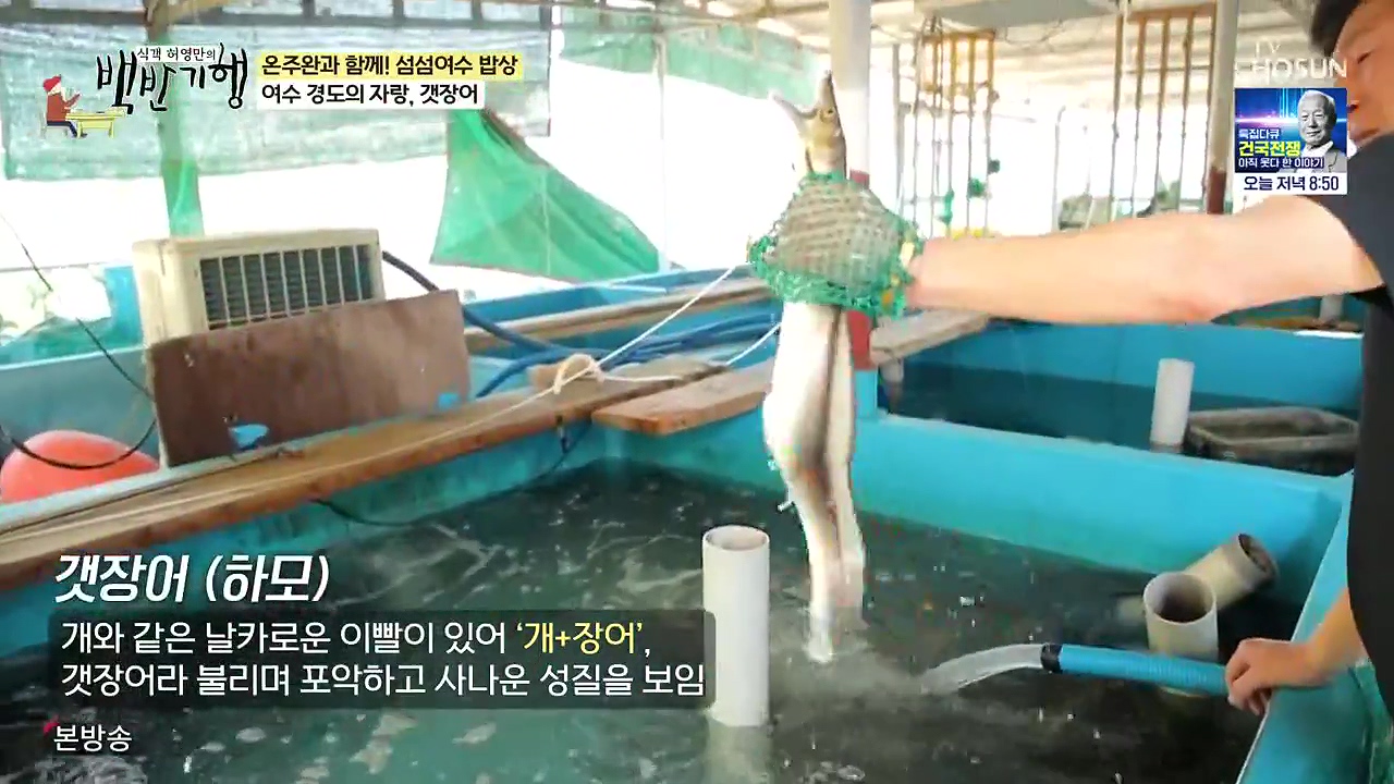 식객 허영만의 백반기행.E253.240624p-NEXT.mp4_20240624_194857.889.jpg