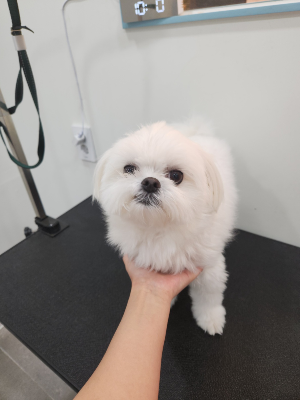 연두미용실 이미지