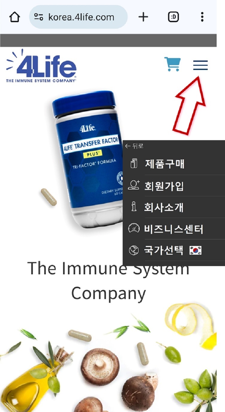 포라이프 이미지