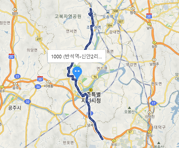  세종시 광역 1000번버스 시간표, 요금 정보 :: 홍익대, 고려대, 버스터미널,반석역