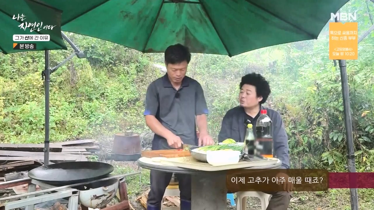 나는 자연인이다.E575.231012p-NEXT.mp4_20231012_200959.837.jpg