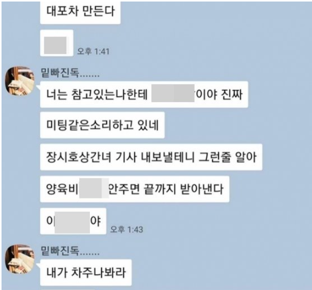 김동성 카톡 공개 불륜녀와 나눈 너무 충격적인 내용(+아들 전와이프 장시호 인민정 인스타)