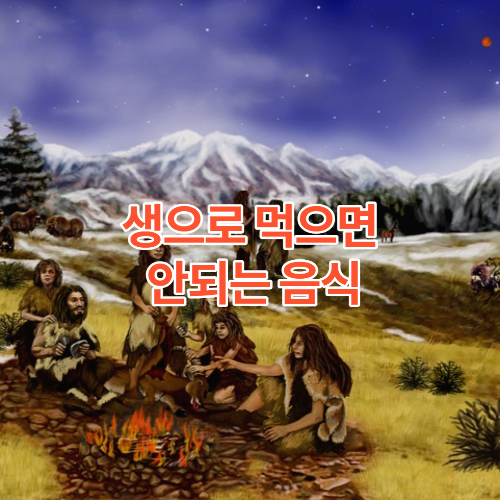  생으로 먹으면 안되는 음식
