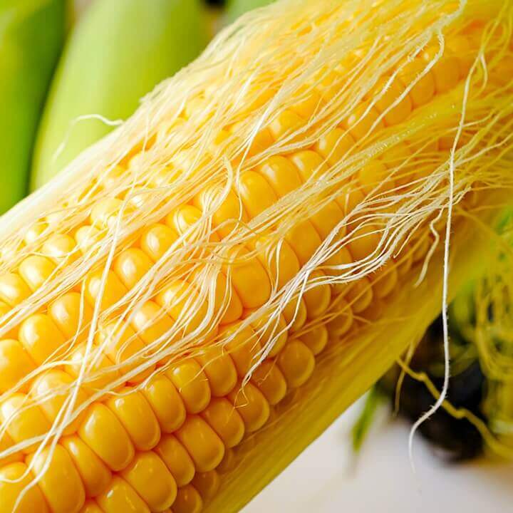 옥수수-맛있게-삶는-방법