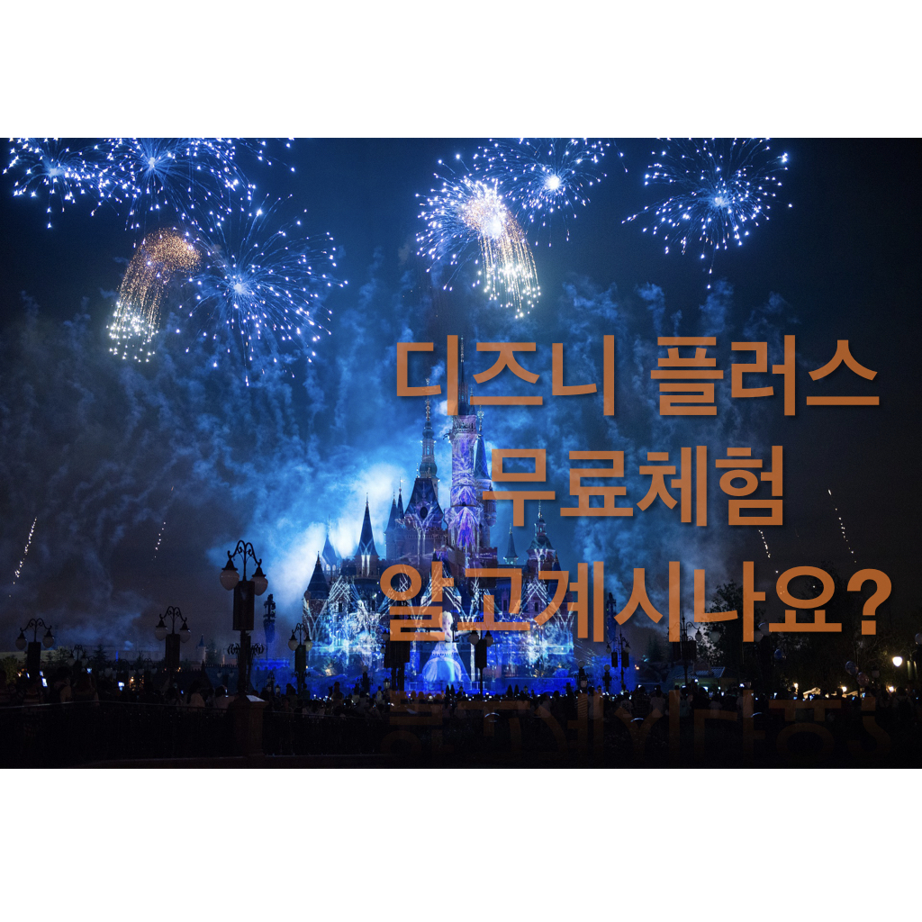  디즈니 플러스 무료체험?!