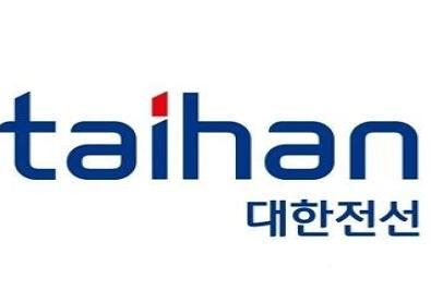  대한전선 급락, 투자경고 이슈까지