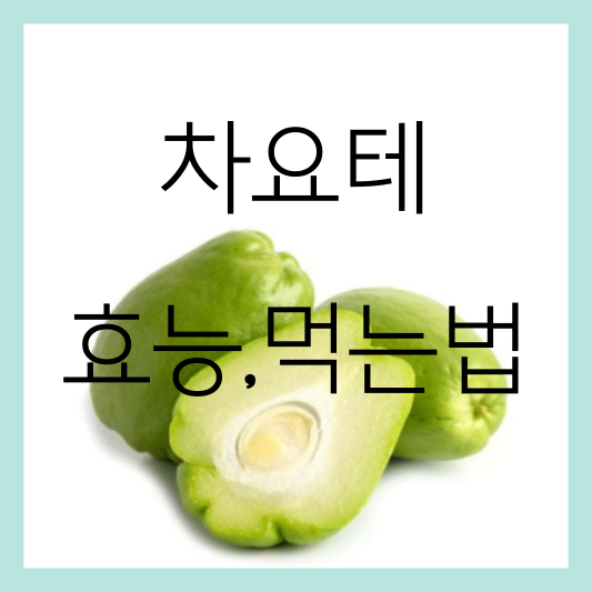 차요테 효능 먹는법 썸네일