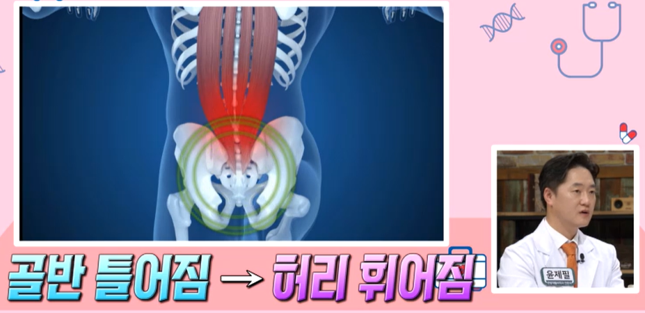 프로테오글리칸 효능