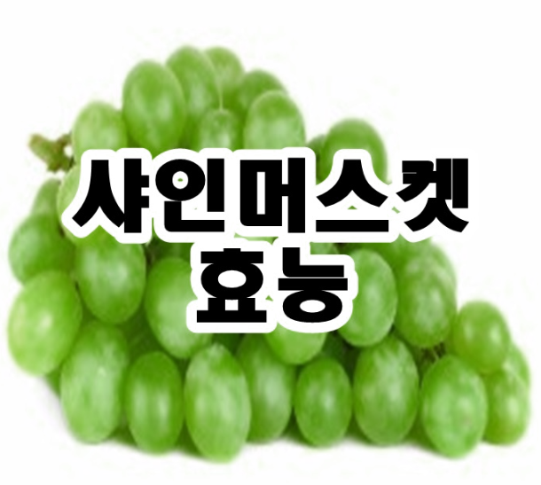  샤인머스켓 효능, 맛과 영양 한가득