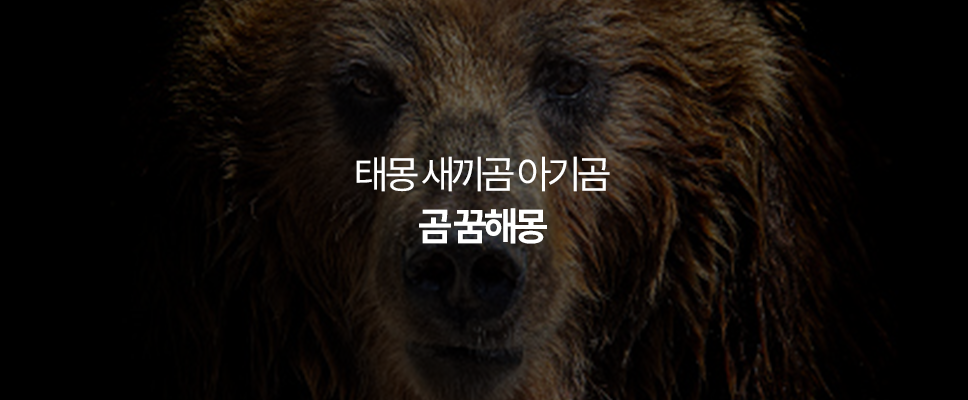 곰 꿈해몽 태몽 새끼곰 아기곰