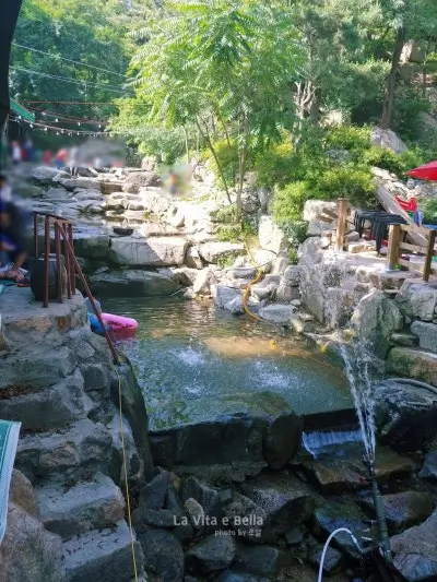 안양-촌골오리