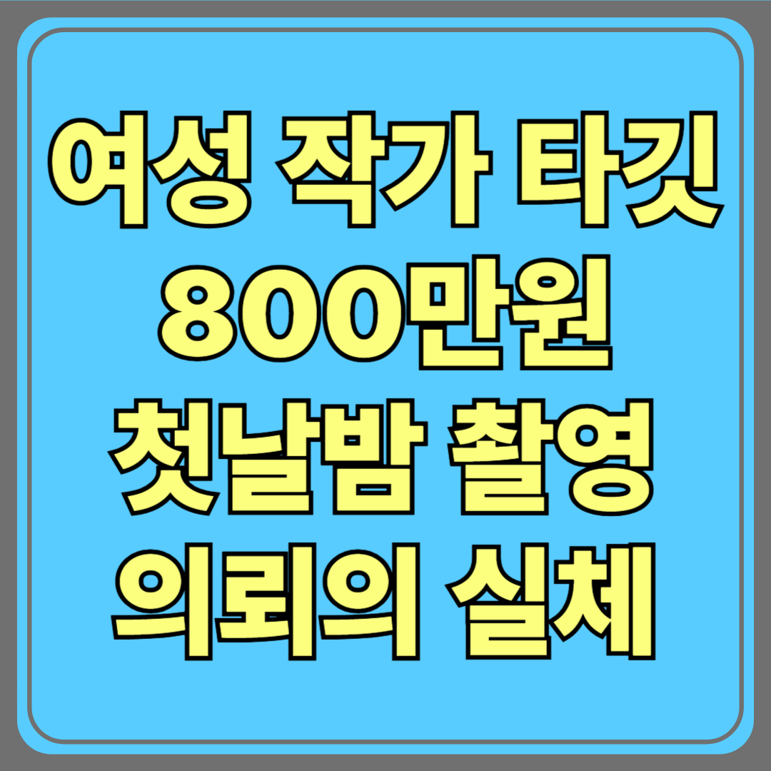 여성 작가만 타깃…‘800만원’ 첫날밤 촬영 의뢰의 실체