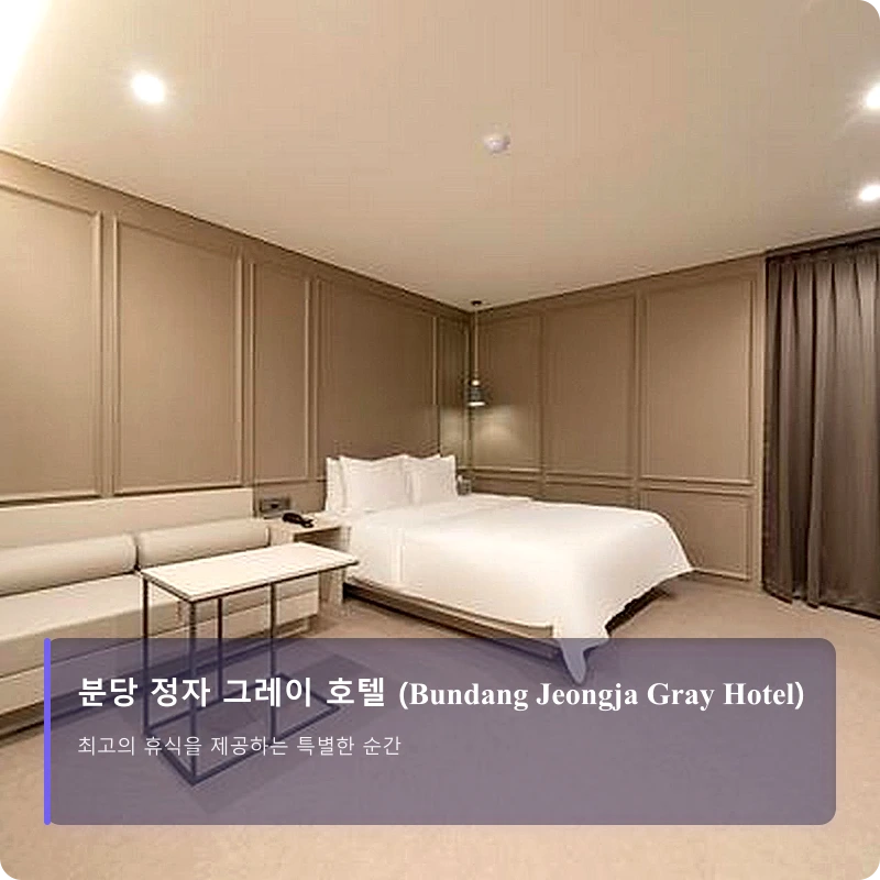 분당 정자 그레이 호텔 (Bundang Jeongja Gray Hotel)_1