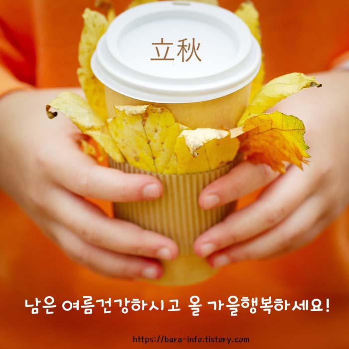 입추매직