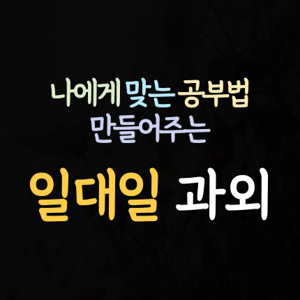  운남동 수학과외 운서동 영어과외 초등 중등 고등 국어과외 중학생 과학 역사 내신