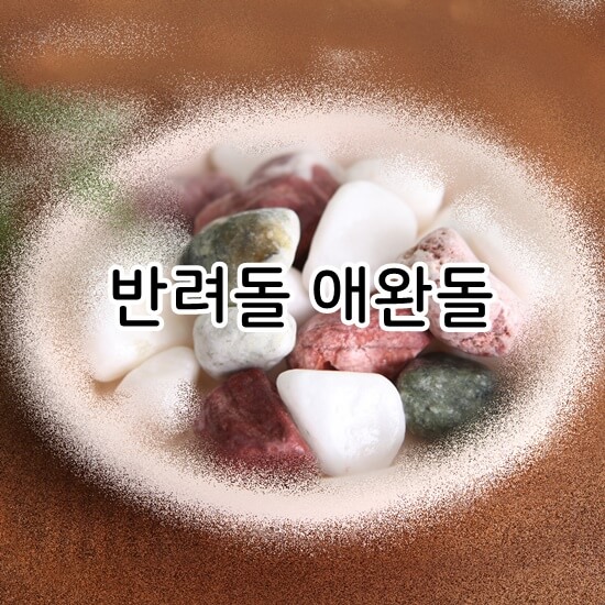 반려돌&#44; 애완돌 이미지