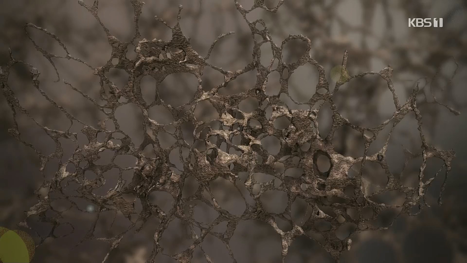 생로병사의 비밀.E852.230118p.H264-F1RST.mp4_20230120_200259.094.jpg