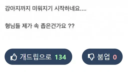 어머니가 싸다주신 음식을 개밥으로 준 와이프ㄷㄷㄷ 13