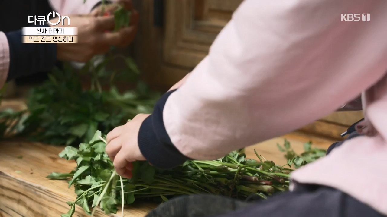 다큐 온.E257.240714p-NEXT.mp4_20240714_165340.463.jpg