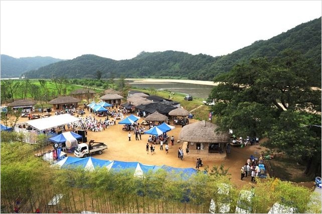  예천 삼강주막 회화나무 열매 효능