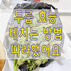  두릅 효능 데치는 방법 따라했어요