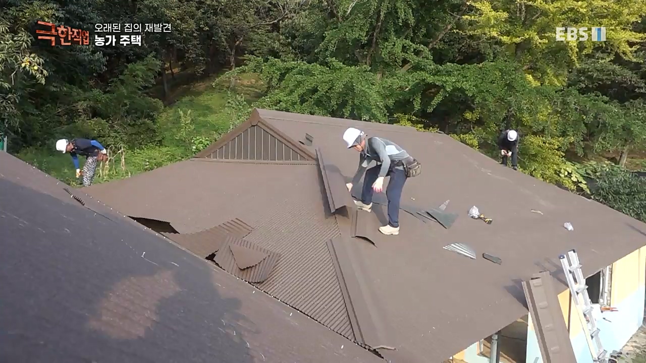 TV - 교육의 중심 EBS오래된 집의 재발견 농가와 도심 주택.mp4_20221120_151956.649.jpg