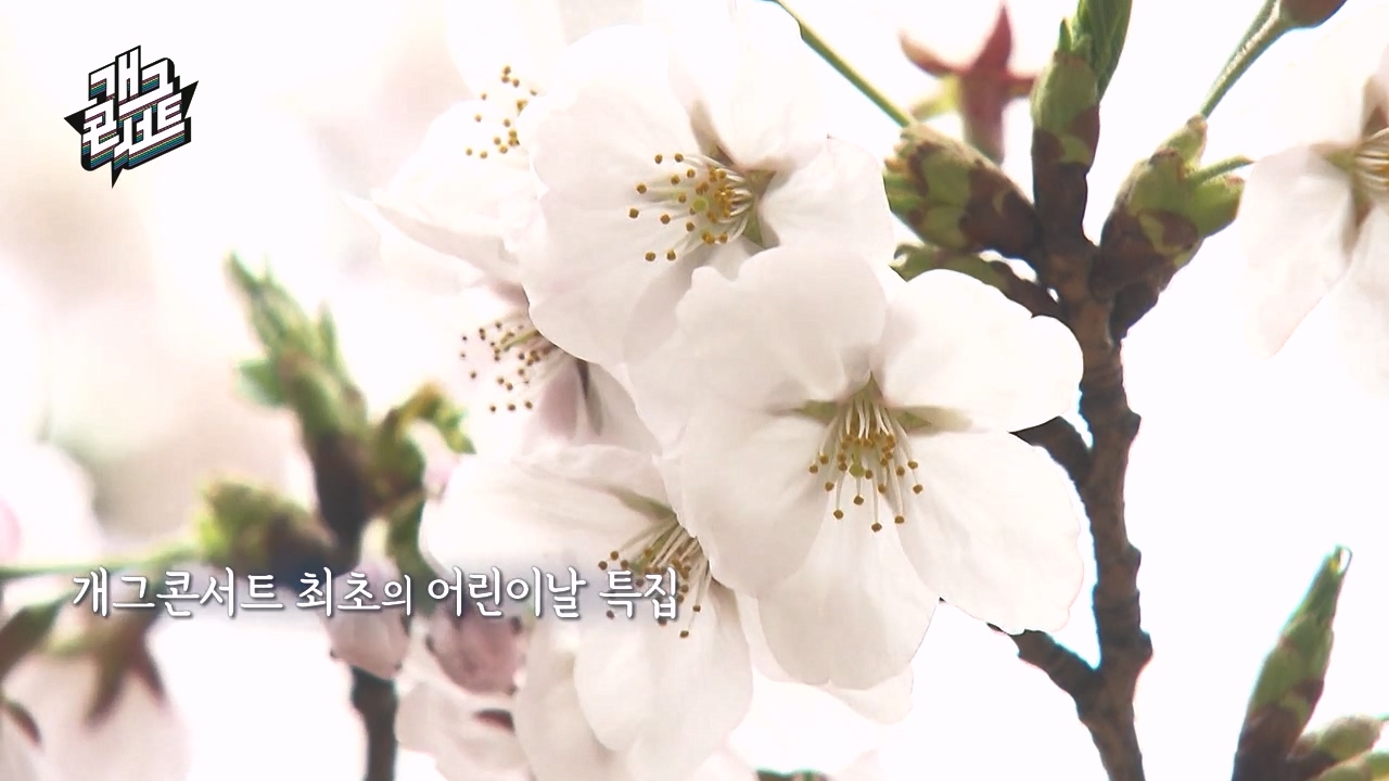 개그 콘서트.E24.240506p-NEXT.mp4_20240506_165748.599.jpg