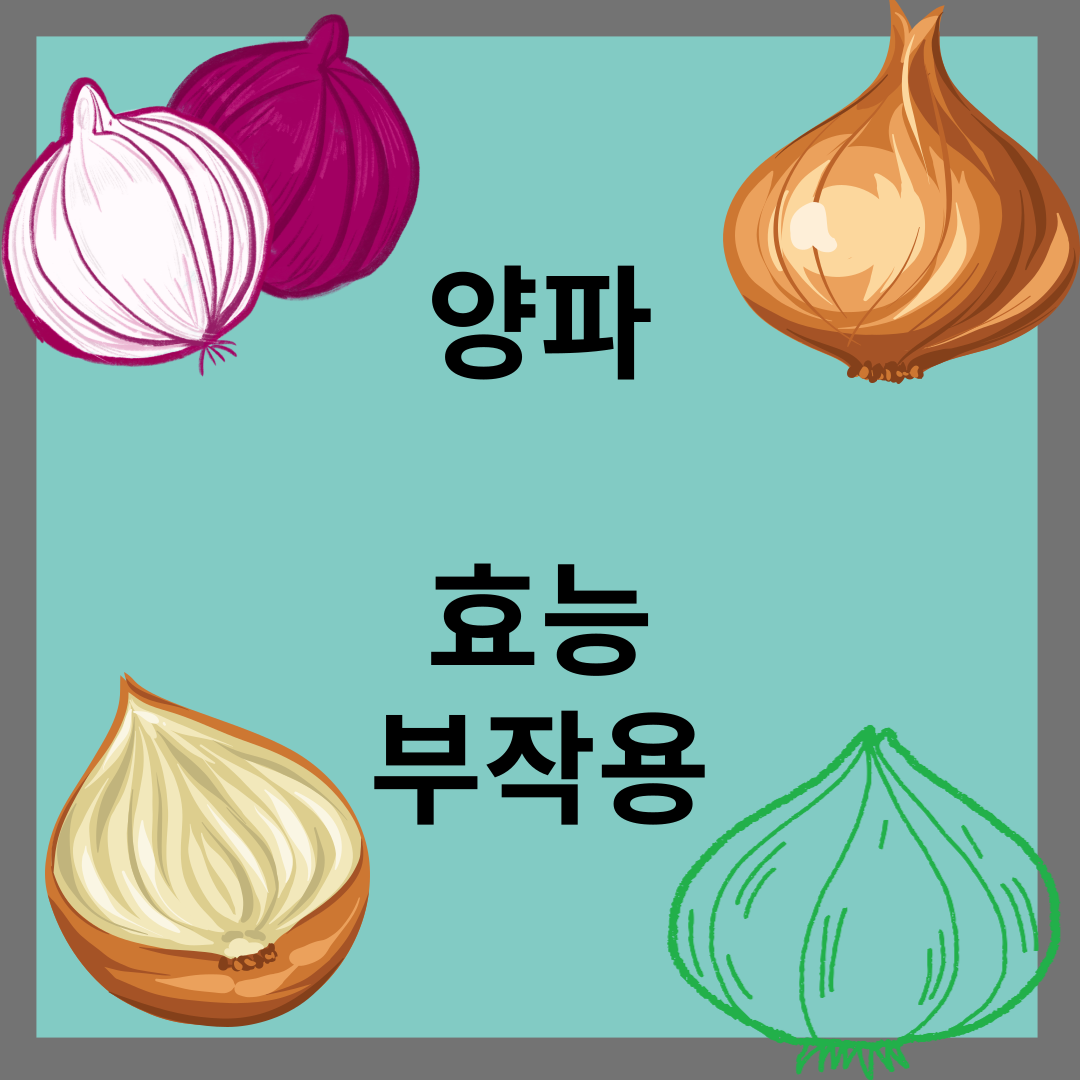 양파 부작용