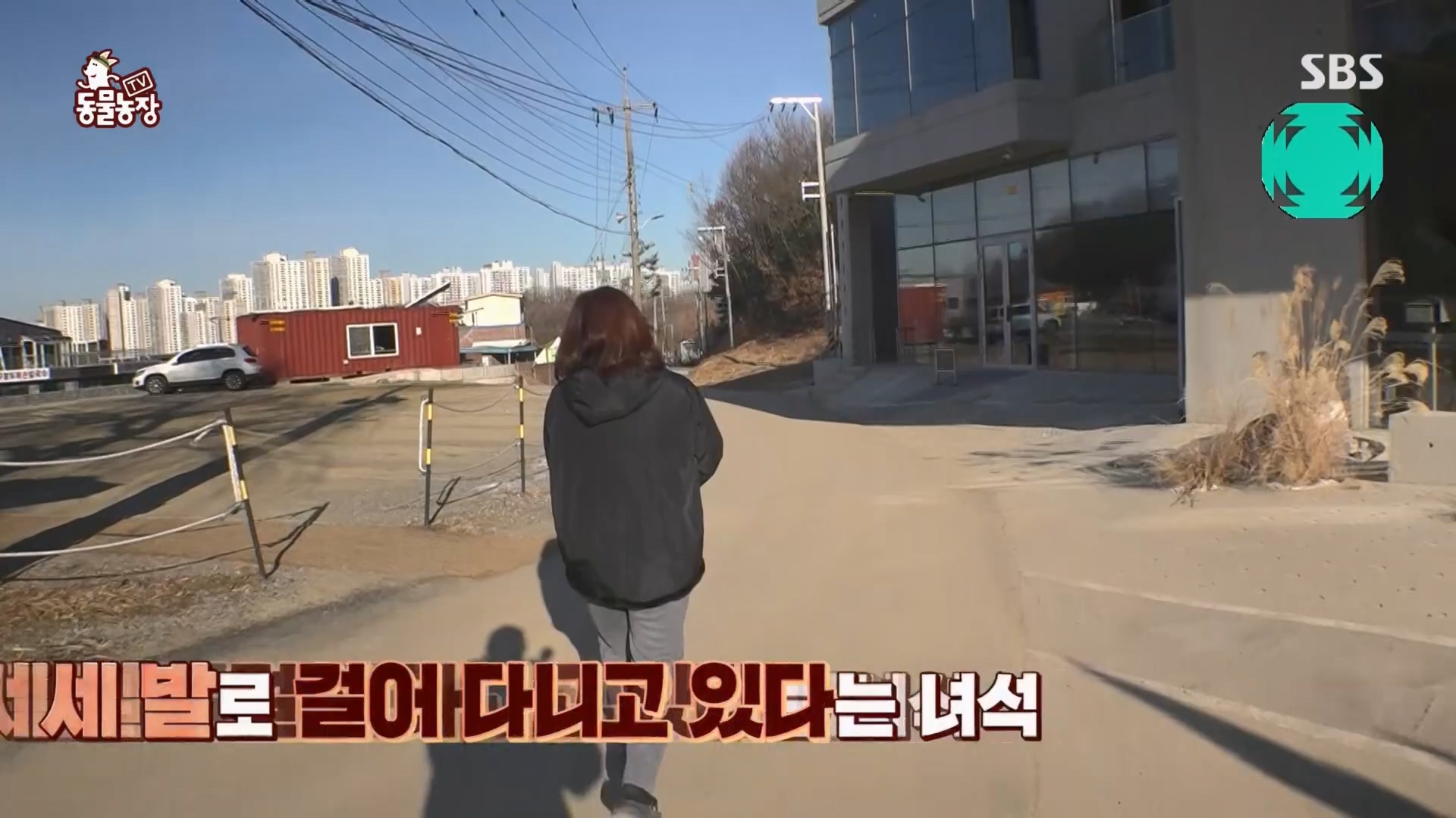 TV 동물농장.E1159.240218p.H264-F1RST.mp4_20240218_170009.674.jpg