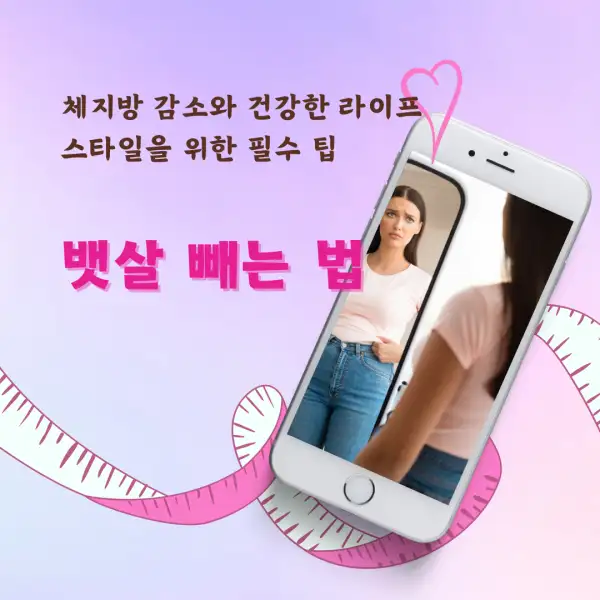 뱃살 빼는 법 완벽 가이드
