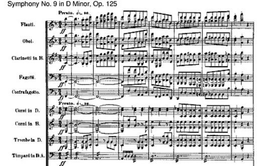  하늘이 내린 천재 베토벤(Ludwig van Beethoven)